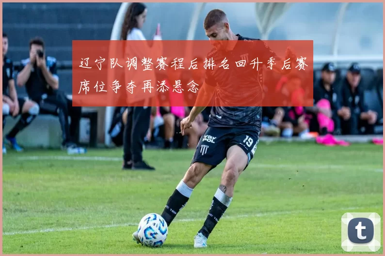 辽宁队调整赛程后排名回升季后赛席位争夺再添悬念